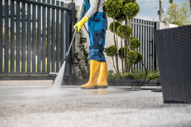 Best Local Pressure Washing Services  in Anthony, NM